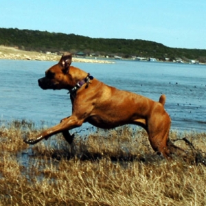 Run Girl Run