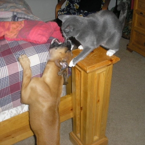 Picture_146