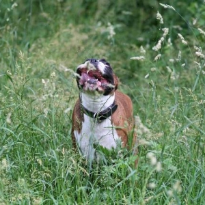 Aaarghh!