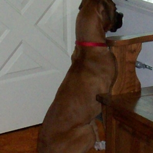 Sophie last week (6 mo's)