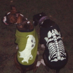 Ready to go trick or treating