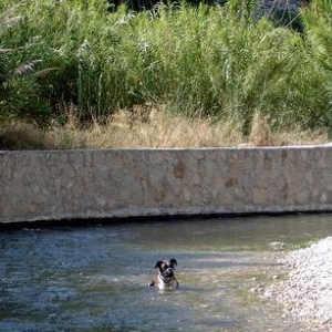 a nice cool dip.