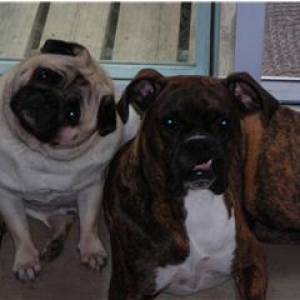 Handsome Boys!