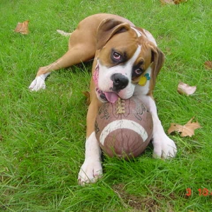Are you ready for some football?