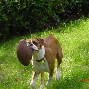 Scooters favorite new game!