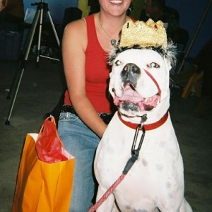 Charlie Paper the 2006 Boxer King