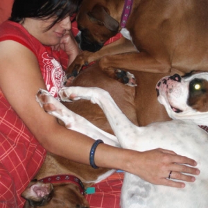 Boxer Love