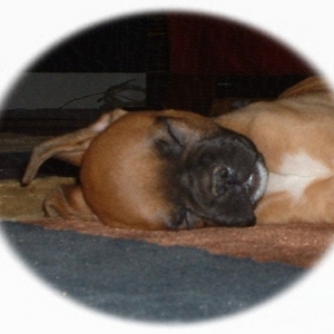 Lewis 8 wks.