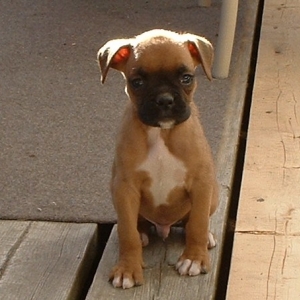 My little runt!