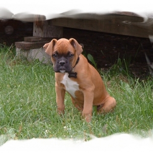 Handsome baby