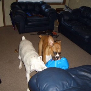 More Ball Fun