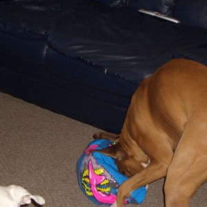 Even more ball fun...