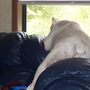 Manny's Perch