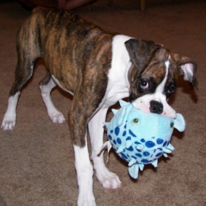 Chloe and her Fishy