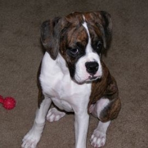 Chloe at 19 weeks