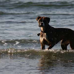 Kali in the Water