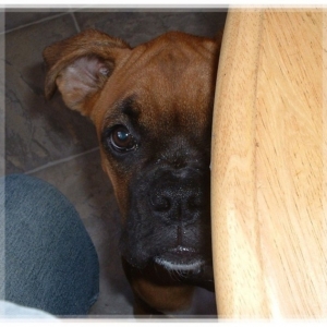 I can see you...