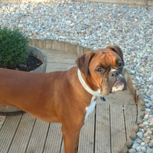 Zeb 7th Oct 06