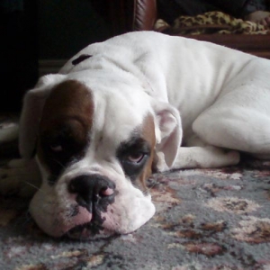 Luka 8 months