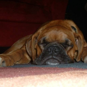 Sleepy Lewis - 5 months