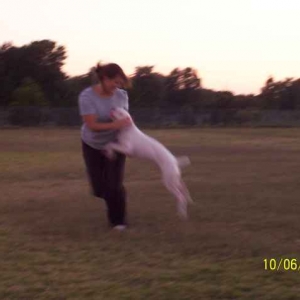 Jumping