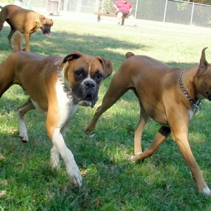 Tre (on the right) with his buddy Jude (left)