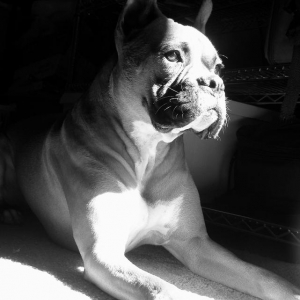 Tre @ 21 Months Old
