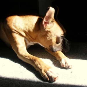 TIRED.....