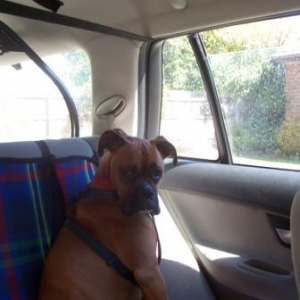 Are We There Yet?