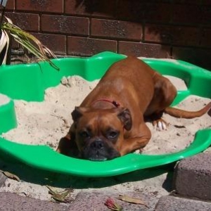 Im Bored. I want to go down the beach