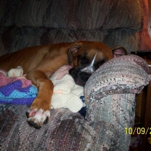 Just over 6 months old.  Taking a nap