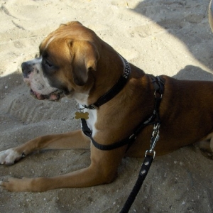 sand