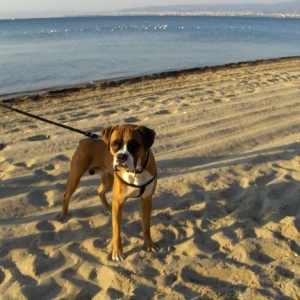 beach