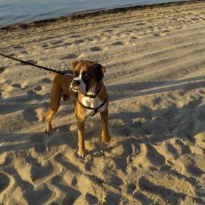beach22