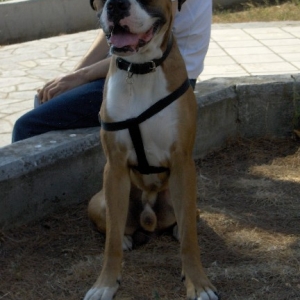 14 months old