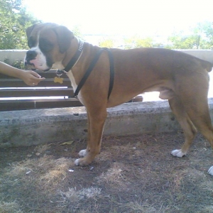 14 month old baby