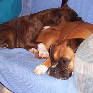 brandy you make the best pillow