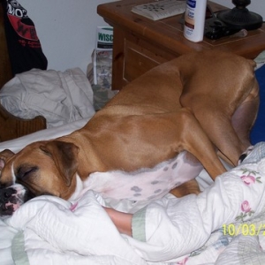 I can sleep any way at all- just ask my mom!
