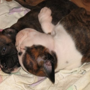 Winnie & her brother.