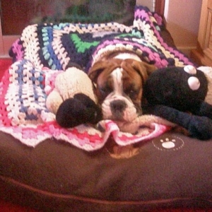 Night Night Mummy