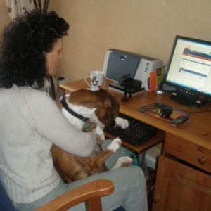 www.boxerworld.com