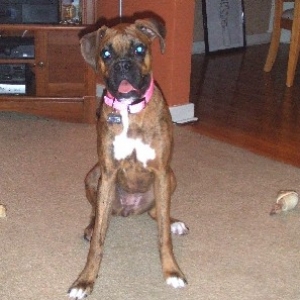 1 year old