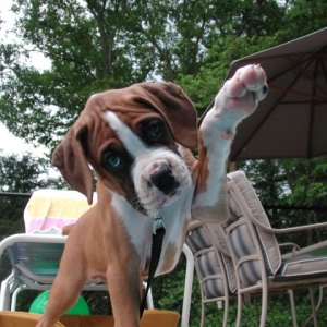 High Five