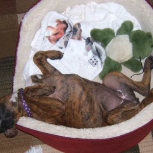 I'm comfortable