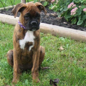 Pose pretty!