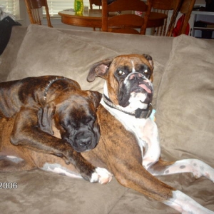 Best Friends