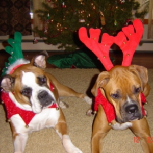First Christmas w/ Hilda