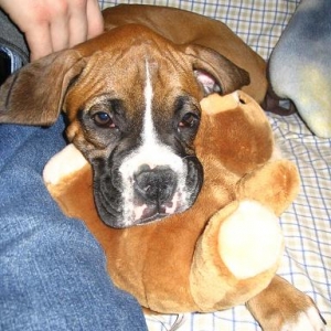 My first day home!