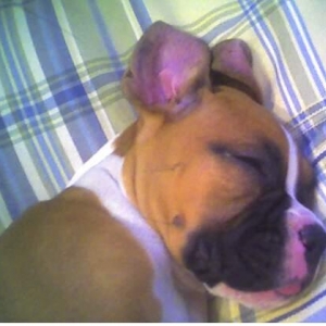 Takin' a Snooze