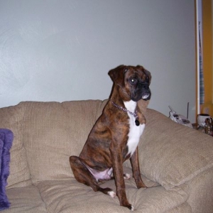 Spike 8 months old